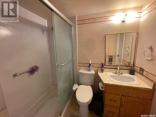 316 4045 Rae Street, Regina, SK - Indoor Photo Showing Bathroom