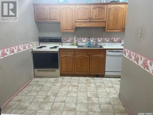 316 4045 Rae Street, Regina, SK - Indoor Photo Showing Kitchen With Double Sink