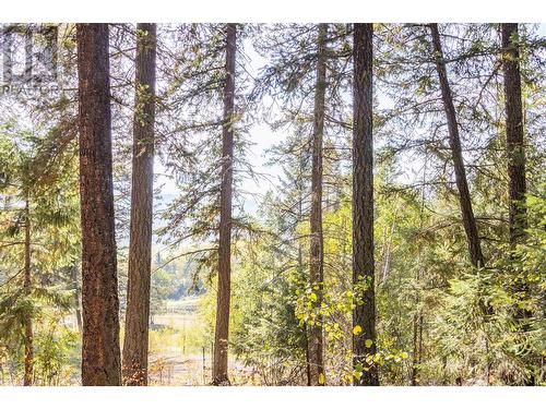 Lot 3 Rainbow Drive, Canim Lake, BC 