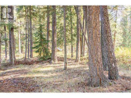 Lot 3 Rainbow Drive, Canim Lake, BC 