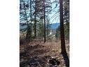 Lot 3 Rainbow Drive, Canim Lake, BC 