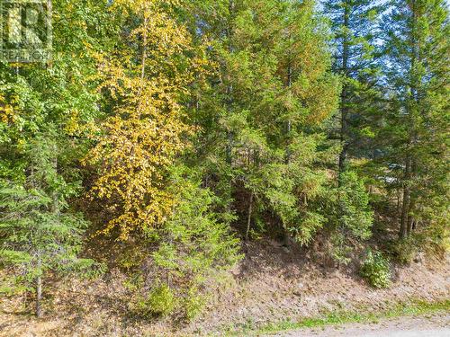 Lot 3 Rainbow Drive, Canim Lake, BC 