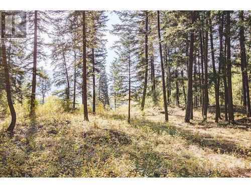 Lot 3 Rainbow Drive, Canim Lake, BC 