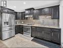 2985 Ruth Road Unit# Lower, Windsor, ON  - Indoor Photo Showing Kitchen With Stainless Steel Kitchen With Upgraded Kitchen 