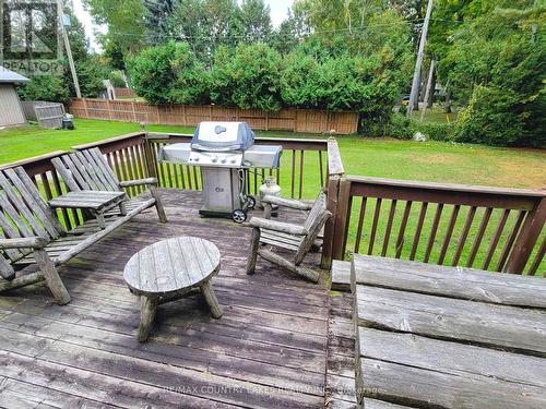 61 Seventh Street, Brock, ON - Outdoor With Deck Patio Veranda With Backyard