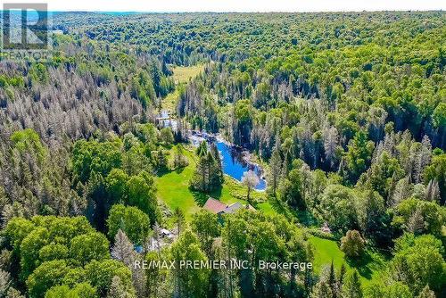 1153 Riding Ranch Road, South River, ON - Outdoor With View