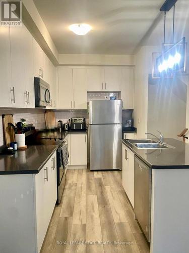 40 - 40 Zinfandel Drive, Hamilton, ON - Indoor Photo Showing Kitchen With Double Sink