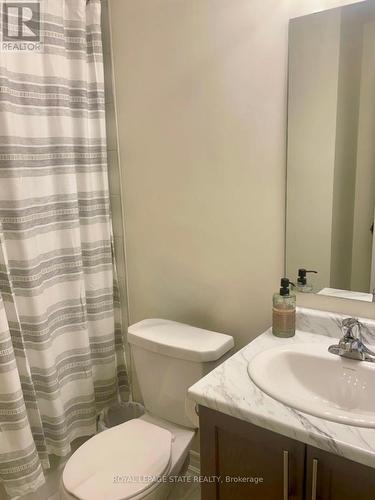 40 - 40 Zinfandel Drive, Hamilton, ON - Indoor Photo Showing Bathroom