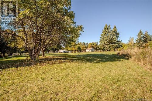 1901 885 Route, Havelock, NB - Outdoor With View