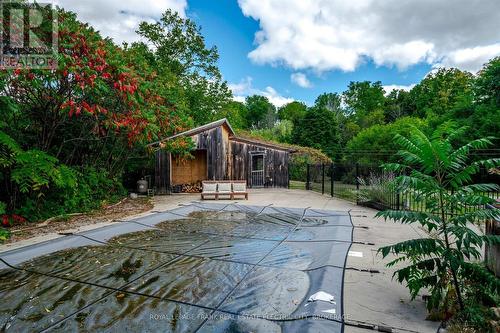 66 Auburn Street, Peterborough (Ashburnham), ON - Outdoor With In Ground Pool