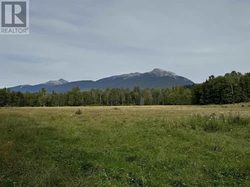 8165 Mountain View Road, Mcbride, BC 