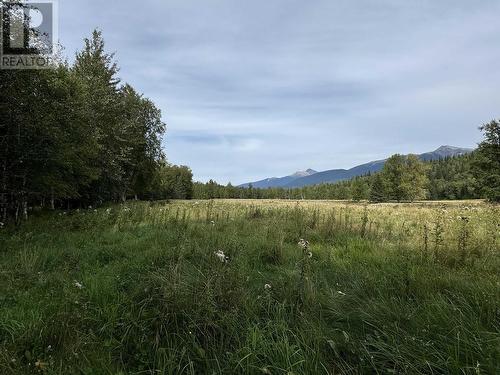 8165 Mountain View Road, Mcbride, BC 