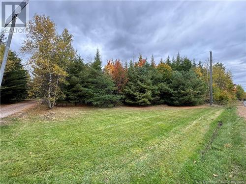 Blueberry Lane, Codys, NB 