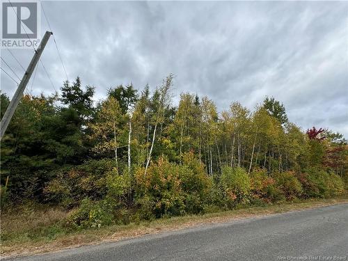 Blueberry Lane, Codys, NB 