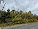 Blueberry Lane, Codys, NB 