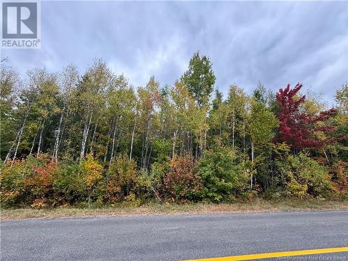 Blueberry Lane, Codys, NB 