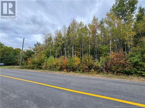 Blueberry Lane, Codys, NB 