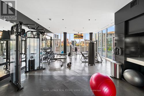 2008 - 32 Davenport Road, Toronto, ON - Indoor Photo Showing Gym Room