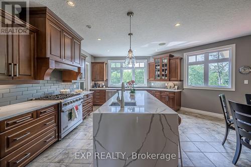 49 Byron Avenue, Thames Centre (Dorchester), ON - Indoor Photo Showing Kitchen With Upgraded Kitchen