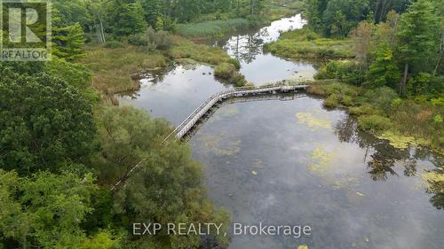 49 Byron Avenue, Thames Centre (Dorchester), ON - Outdoor With Body Of Water With View