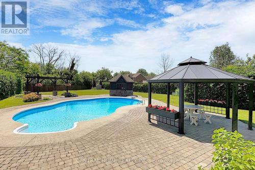 49 Ferncroft Drive, Georgina, ON - Outdoor With In Ground Pool With Backyard