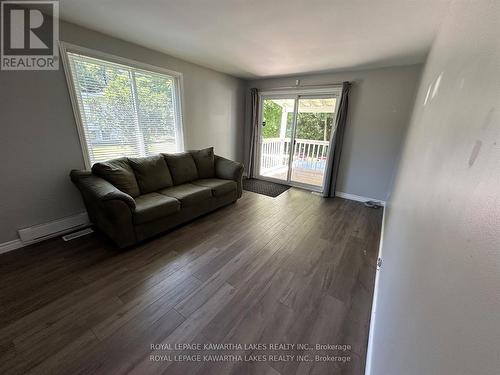 53 Baseline Road, Kawartha Lakes (Coboconk), ON - Indoor Photo Showing Living Room