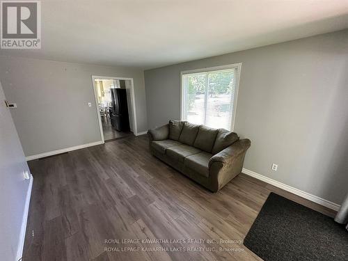 53 Baseline Road, Kawartha Lakes (Coboconk), ON - Indoor Photo Showing Living Room