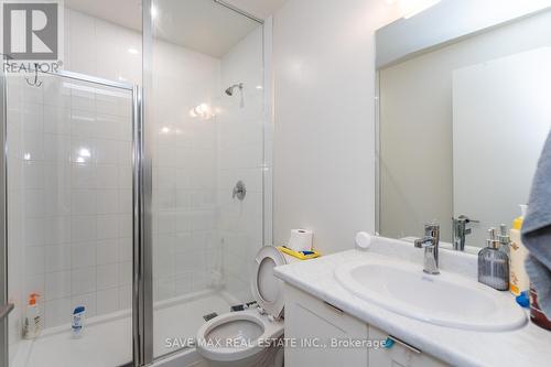 113 - 62 Sky Harbour Drive E, Brampton, ON - Indoor Photo Showing Bathroom