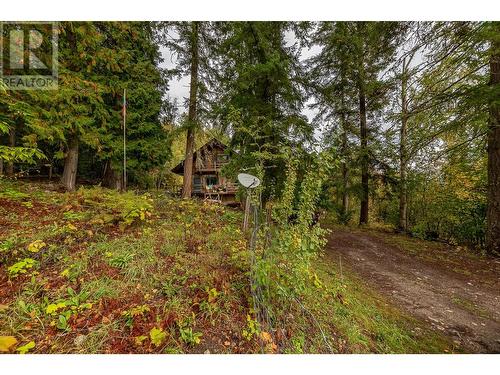 2377 Enderby Mabel Lake Road, Enderby, BC - Outdoor