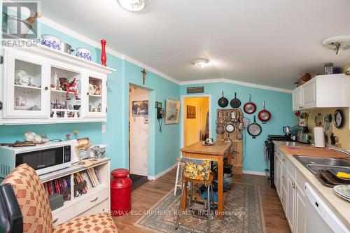 24 Duke Street, Brantford, ON - Indoor Photo Showing Kitchen With Double Sink