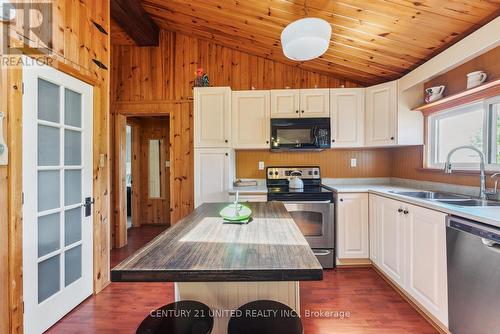 1251 Young'S Cove, Smith-Ennismore-Lakefield, ON - Indoor Photo Showing Kitchen With Double Sink