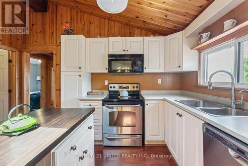 1251 Young'S Cove, Smith-Ennismore-Lakefield, ON - Indoor Photo Showing Kitchen With Double Sink