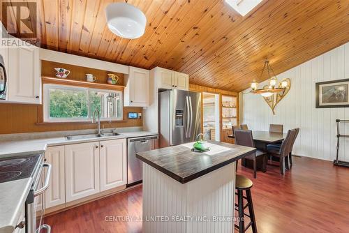 1251 Young'S Cove, Smith-Ennismore-Lakefield, ON - Indoor Photo Showing Kitchen With Double Sink