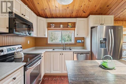 1251 Young'S Cove, Smith-Ennismore-Lakefield, ON - Indoor Photo Showing Kitchen With Double Sink