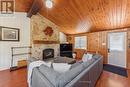 1251 Young'S Cove, Smith-Ennismore-Lakefield, ON  - Indoor Photo Showing Living Room With Fireplace 