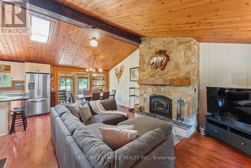 1251 Young'S Cove, Smith-Ennismore-Lakefield, ON - Indoor Photo Showing Living Room With Fireplace