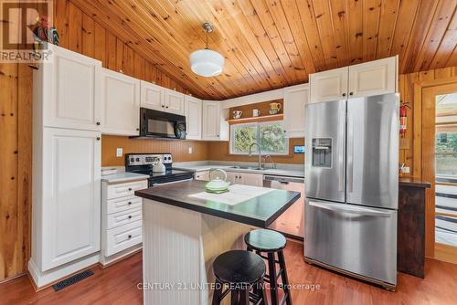 1251 Young'S Cove, Smith-Ennismore-Lakefield, ON - Indoor Photo Showing Kitchen