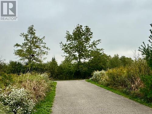 50 Hidden Lake Trail, Halton Hills, ON - Outdoor