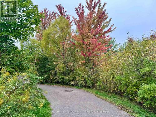 50 Hidden Lake Trail, Halton Hills, ON - Outdoor