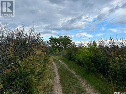 Pike Lake Highway Acreage, Corman Park Rm No. 344, SK - Outdoor With View