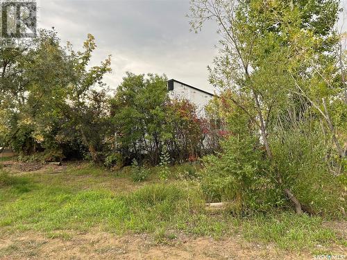 Pike Lake Highway Acreage, Corman Park Rm No. 344, SK - Outdoor With View