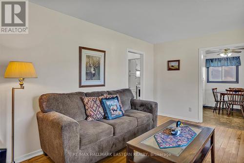 629 Hawley Street, Peterborough (Otonabee), ON - Indoor Photo Showing Living Room