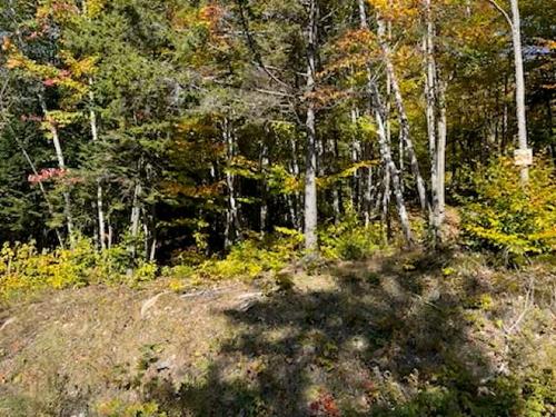 Land/Lot - Rue Guy-Théorêt, Sainte-Adèle, QC 