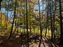 Land/Lot - Rue Guy-Théorêt, Sainte-Adèle, QC 