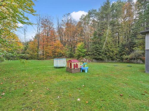 Backyard - 67 Ch. Dubois, Val-Des-Monts, QC - Outdoor