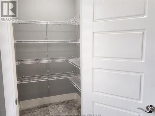 1619 Virtue Lane, Windsor, ON - Indoor With Storage