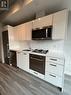 704 - 458 Richmond Street W, Toronto, ON  - Indoor Photo Showing Kitchen 