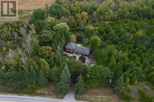 4175 5Th Side Road, Bradford West Gwillimbury, ON - Outdoor With View