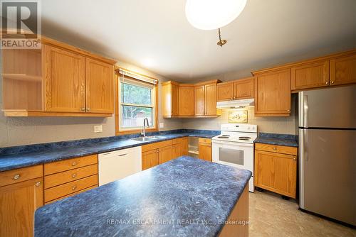 B - 137 Henry Street, Brantford, ON - Indoor Photo Showing Kitchen With Double Sink