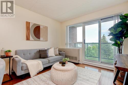 317 - 55 Via Rosedale, Brampton, ON - Indoor Photo Showing Living Room